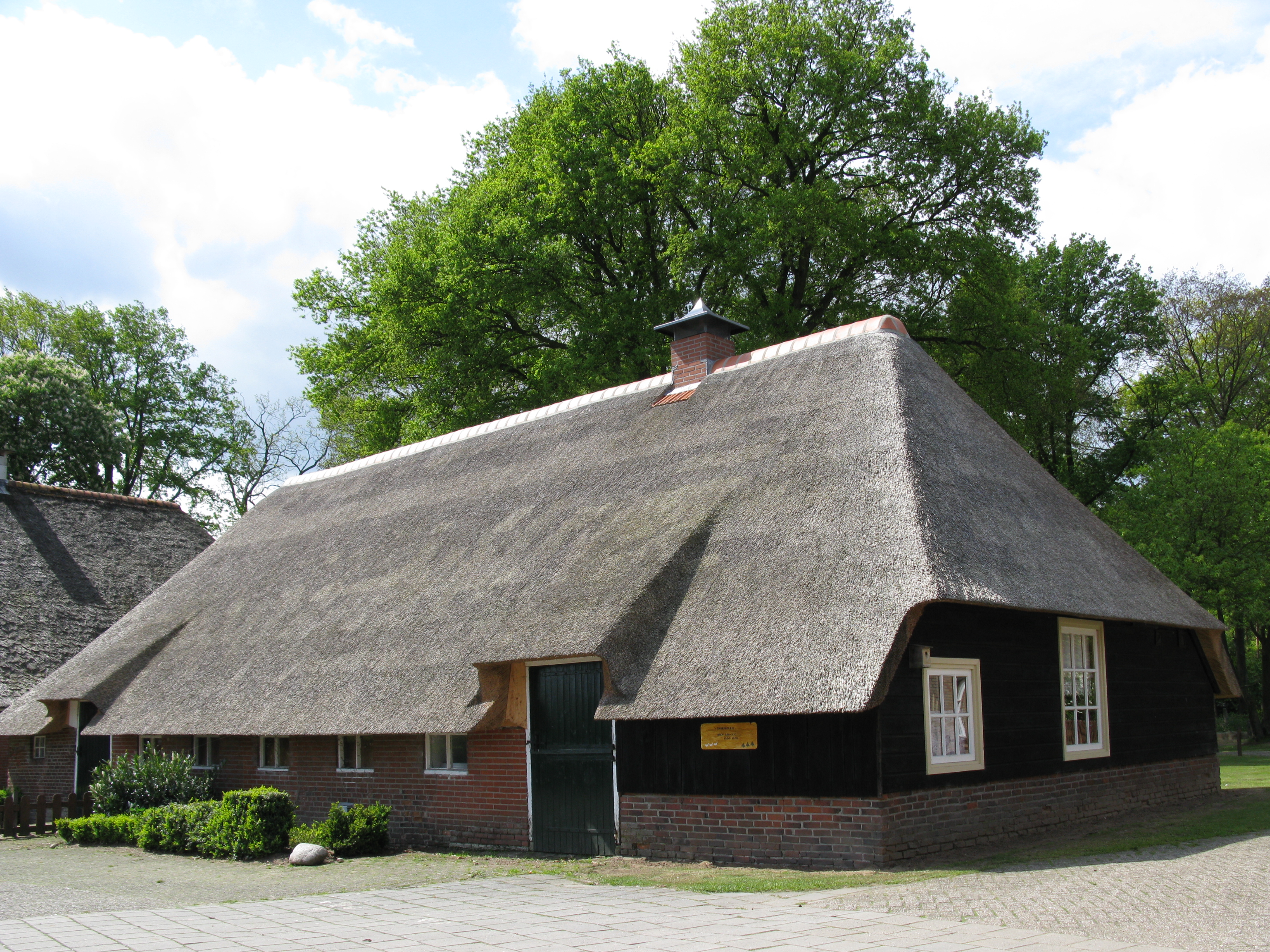 HWK2010 237.jpg